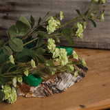 Green Wild Meadow Rose stem