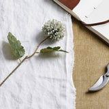 Pale Green Blue Short Chrysanthemum stem