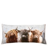 Highland cow trio cushion