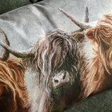 Highland cow trio cushion