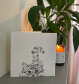 Chester Cat Pencil Illustrated Greeting Card