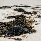 St Eval. Sea Salt Diffuser Refill