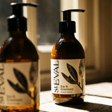 St. Eval Bay & Rosemary hand lotion