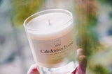 Caledonian Forest Glass Candle