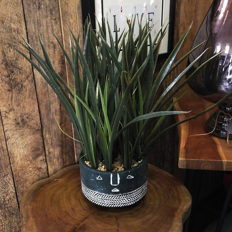 Green Face Planter with Grass